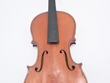 a close up of a violin on a white surface with a white background