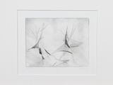 une image représentant un dessin en noir et blanc d'oiseaux en plein vol