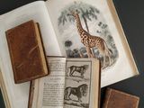 a book with a picture of a giraffe on it and a book with a picture of a giraffe on it