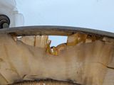 a close up of a banana peel in a bowl