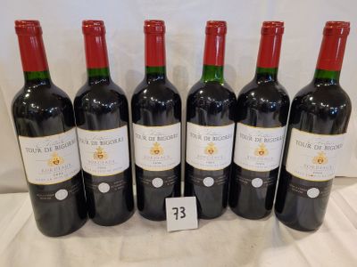 6 bouteilles CHÂTEAU TOUR DE BIGORRE 2006 BORDEAUX; médaille…