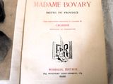a book with a picture of madame bovary on it