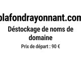 Photo 1/1 du lot