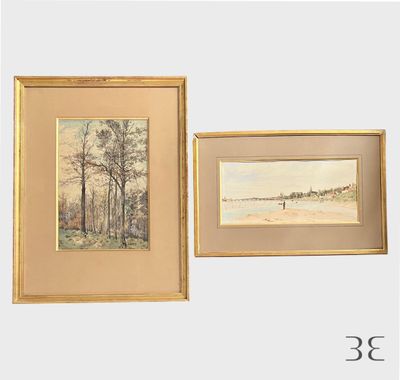deux tableaux encadrés représentant des arbres et une plage, dans un cadre doré