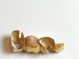 an image of a piece of food on a white surface
