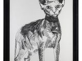 un dessin en noir et blanc représentant un chat sur fond blanc