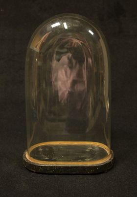 a glass dome with a horse in it on a black background