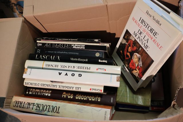 Lot de 3 cartons d’ouvrages d’art et de peintre dont les palais v...