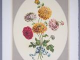 an image of a picture of a bunch of flowers on a plate
