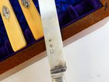 un couteau qui se trouve dans une boîte sur laquelle est représenté un couteau