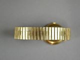 an image of a close up of a gold tie bar