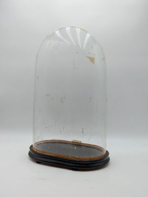 une cloche en verre reposant sur un socle en bois, posée sur une surface blanche