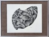 a black and white drawing of a flower in a frame