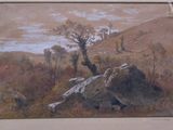 a picture of a painting of a landscape with rocks and trees