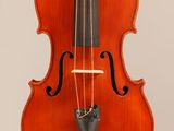 gros plan d'un violon sur fond blanc