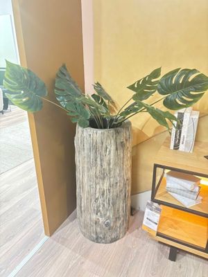 Important cache pot en résine façon tronc d'arbre et plantes… - Photo 1