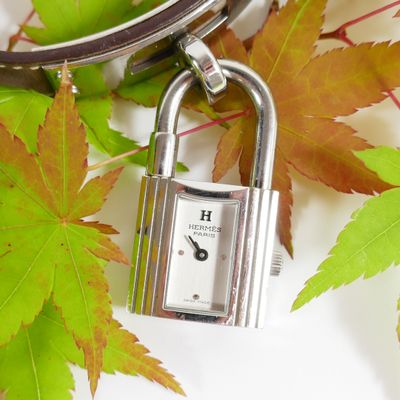 a silver clock on a chain with leaves around it