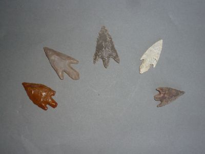 Plusieurs types de pointes de flèche sont exposés sur une surface grise