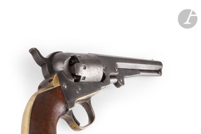 a colt colt colt colt colt colt colt colt colt colt colt colt colt colt colt colt colt colt colt colt colt colt colt colt colt colt colt colt colt colt colt colt colt colt colt