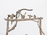 a sculpture of birds sitting on top of a tree branch