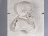 portrait en plâtre d'un homme barbu sur fond blanc