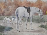 a painting of a white horse with a saddle next to a group of dogs