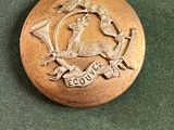 une image représentant un bouton en bronze orné d'un cheval
