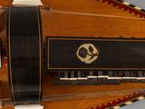 a close up of a musical instrument on a white background