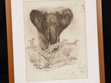 an image of a drawing of an elephant in a frame on a black background