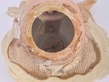 a close up view of a broken vase with a hole in it
