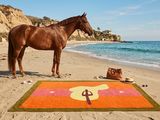 a brown horse standing on the beach next to a blanket