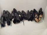 several pairs of black and white shoes are lined up in a row