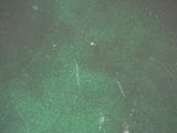 a close up view of a green surface with white dots on it