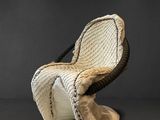 une chaise fabriquée à partir d'un morceau de corde