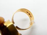 une personne tenant une bague ornée d'un anneau en or