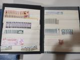 a person holding a folder with stamps on it