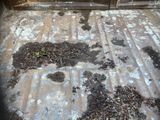 a dirty truck bed with dirt and dirt on it