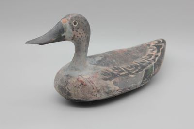 un canard posé sur une table