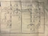 a drawing of a family tree on a piece of paper