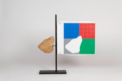 a flag with a picture of a cat on it