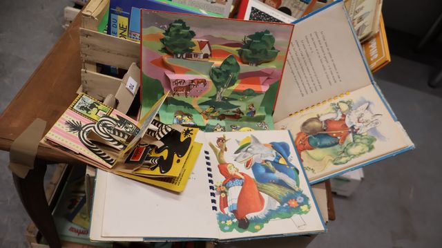 Livres d’enfant dont livres à tirettes