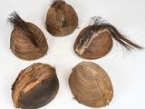 four shells with hair on them are arranged in a circle