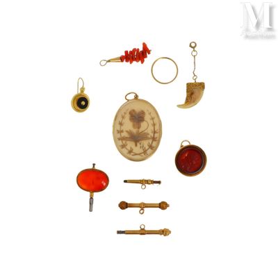 une photo d'une collection de bijoux sur fond blanc