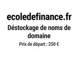 Photo 1/1 du lot