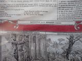 a newspaper with pictures of trees and animals on it