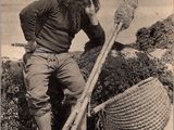 une photo en noir et blanc d'un homme à la longue barbe