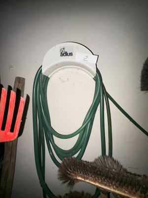 un chat qui se tient à côté d'un tuyau d'arrosage et d'une brosse