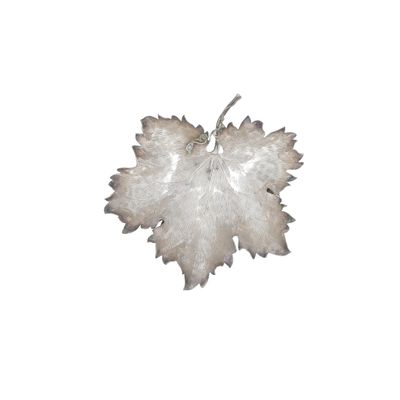 a picture of a white leaf on a white background
