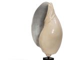 une sculpture représentant un coquillage posée sur un socle, sur fond blanc