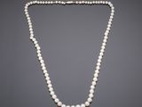 a white pearl necklace with a gold clasp